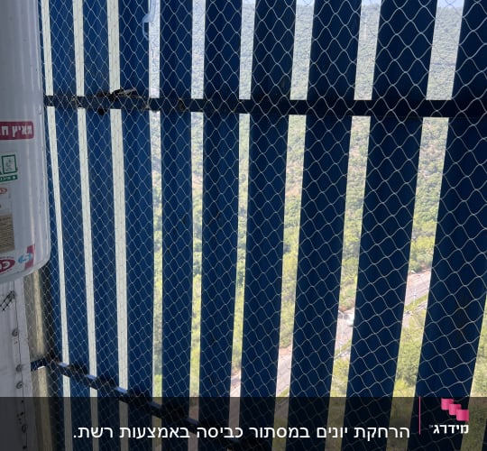 רשת מתכת כחולה למניעת כניסת יונים